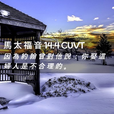 Picture 02 - 馬 太 福 音 14:4 CUVT - 因 為 約 翰 曾 對 他 說 ： 你 娶 這 - Bible Verse Picture