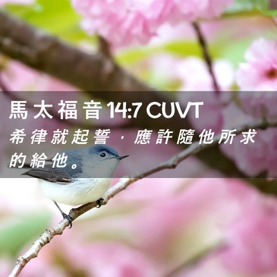 Picture 02 - 馬 太 福 音 14:7 CUVT - 希 律 就 起 誓 ， 應 許 隨 他 所 求 - Bible Verse Picture
