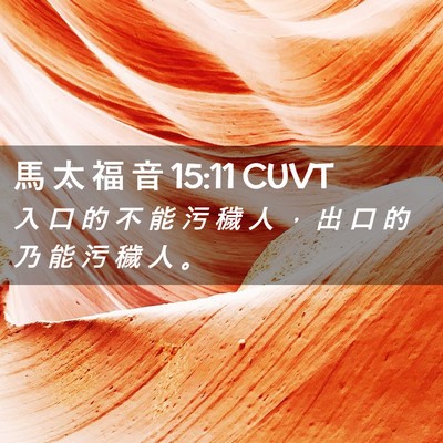 Picture 02 - 馬 太 福 音 15:11 CUVT - 入 口 的 不 能 污 穢 人 ， 出 口 的 - Bible Verse Picture