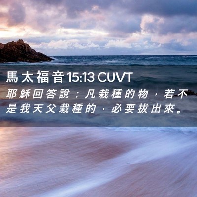 Picture 02 - 馬 太 福 音 15:13 CUVT - 耶 穌 回 答 說 ： 凡 栽 種 的 物 ， - Bible Verse Picture