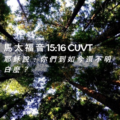Picture 02 - 馬 太 福 音 15:16 CUVT - 耶 穌 說 ： 你 們 到 如 今 還 不 明 - Bible Verse Picture