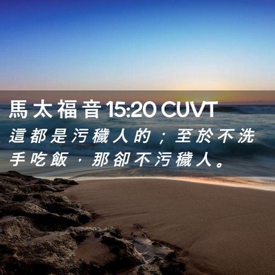 Picture 02 - 馬 太 福 音 15:20 CUVT - 這 都 是 污 穢 人 的 ； 至 於 不 洗 - Bible Verse Picture