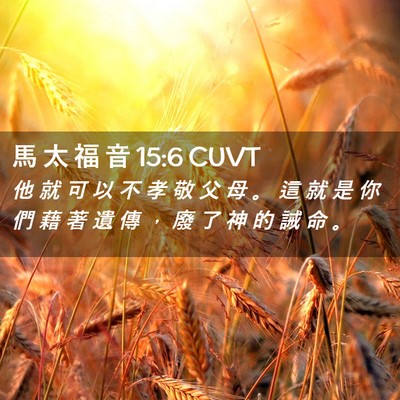 Picture 02 - 馬 太 福 音 15:6 CUVT - 他 就 可 以 不 孝 敬 父 母 。 這 就 - Bible Verse Picture