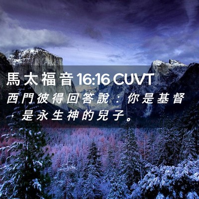 Picture 02 - 馬 太 福 音 16:16 CUVT - 西 門 彼 得 回 答 說 ： 你 是 基 督 - Bible Verse Picture
