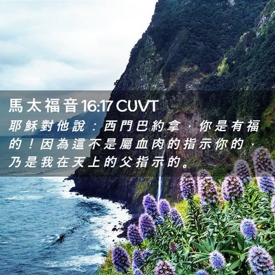 Picture 02 - 馬 太 福 音 16:17 CUVT - 耶 穌 對 他 說 ： 西 門 巴 約 拿 ， - Bible Verse Picture