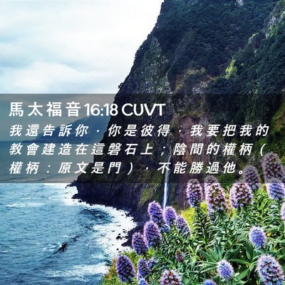 Picture 02 - 馬 太 福 音 16:18 CUVT - 我 還 告 訴 你 ， 你 是 彼 得 ， 我 - Bible Verse Picture
