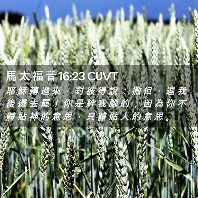 Picture 02 - 馬 太 福 音 16:23 CUVT - 耶 穌 轉 過 來 ， 對 彼 得 說 ： 撒 - Bible Verse Picture