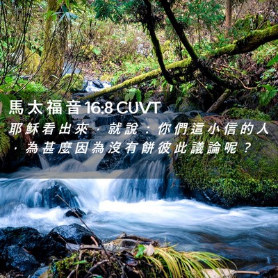 Picture 02 - 馬 太 福 音 16:8 CUVT - 耶 穌 看 出 來 ， 就 說 ： 你 們 這 - Bible Verse Picture