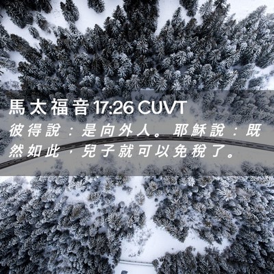 Picture 02 - 馬 太 福 音 17:26 CUVT - 彼 得 說 ： 是 向 外 人 。 耶 穌 說 - Bible Verse Picture