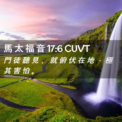 Picture 02 - 馬 太 福 音 17:6 CUVT - 門 徒 聽 見 ﹐ 就 俯 伏 在 地 ， 極 - Bible Verse Picture
