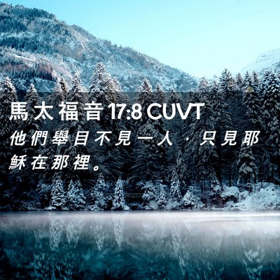 Picture 02 - 馬 太 福 音 17:8 CUVT - 他 們 舉 目 不 見 一 人 ， 只 見 耶 - Bible Verse Picture