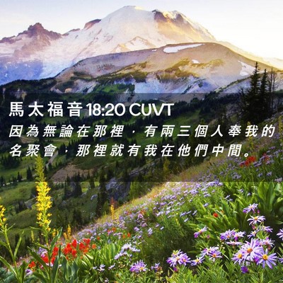 Picture 02 - 馬 太 福 音 18:20 CUVT - 因 為 無 論 在 那 裡 ， 有 兩 三 個 - Bible Verse Picture