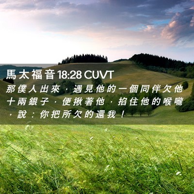 Picture 02 - 馬 太 福 音 18:28 CUVT - 那 僕 人 出 來 ， 遇 見 他 的 一 個 - Bible Verse Picture