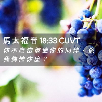 Picture 02 - 馬 太 福 音 18:33 CUVT - 你 不 應 當 憐 恤 你 的 同 伴 ， 像 - Bible Verse Picture