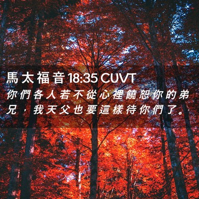Picture 02 - 馬 太 福 音 18:35 CUVT - 你 們 各 人 若 不 從 心 裡 饒 恕 你 - Bible Verse Picture