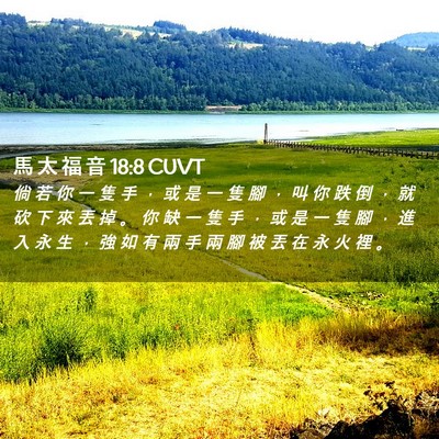 Picture 02 - 馬 太 福 音 18:8 CUVT - 倘 若 你 一 隻 手 ， 或 是 一 隻 腳 - Bible Verse Picture