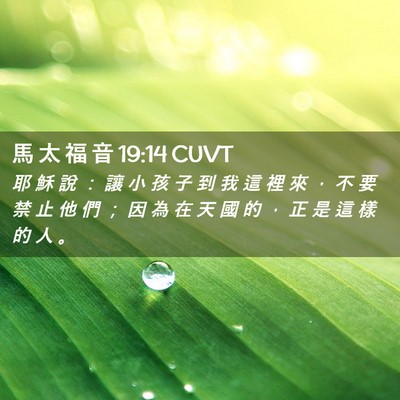 Picture 02 - 馬 太 福 音 19:14 CUVT - 耶 穌 說 ： 讓 小 孩 子 到 我 這 裡 - Bible Verse Picture