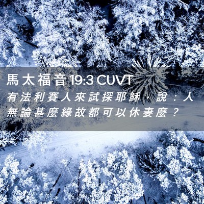 Picture 02 - 馬 太 福 音 19:3 CUVT - 有 法 利 賽 人 來 試 探 耶 穌 ， 說 - Bible Verse Picture