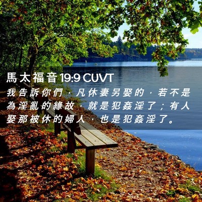 Picture 02 - 馬 太 福 音 19:9 CUVT - 我 告 訴 你 們 ， 凡 休 妻 另 娶 的 - Bible Verse Picture