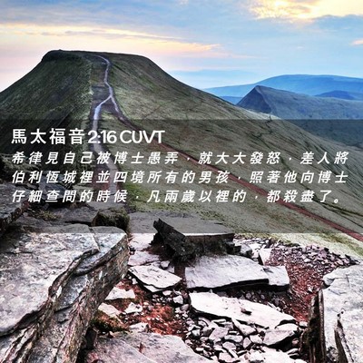 Picture 02 - 馬 太 福 音 2:16 CUVT - 希 律 見 自 己 被 博 士 愚 弄 ， 就 - Bible Verse Picture