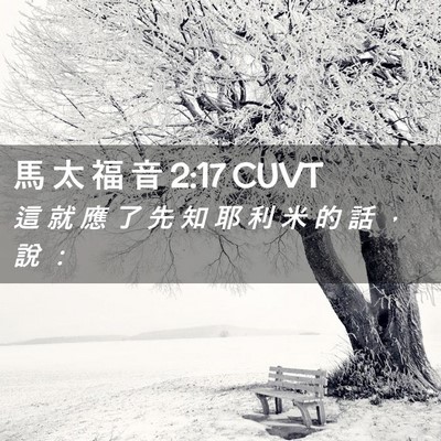 Picture 02 - 馬 太 福 音 2:17 CUVT - 這 就 應 了 先 知 耶 利 米 的 話 ， - Bible Verse Picture