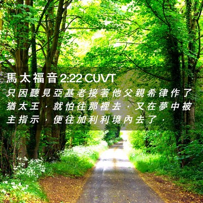 Picture 02 - 馬 太 福 音 2:22 CUVT - 只 因 聽 見 亞 基 老 接 著 他 父 親 - Bible Verse Picture