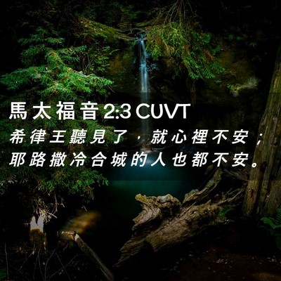 Picture 02 - 馬 太 福 音 2:3 CUVT - 希 律 王 聽 見 了 ， 就 心 裡 不 安 - Bible Verse Picture