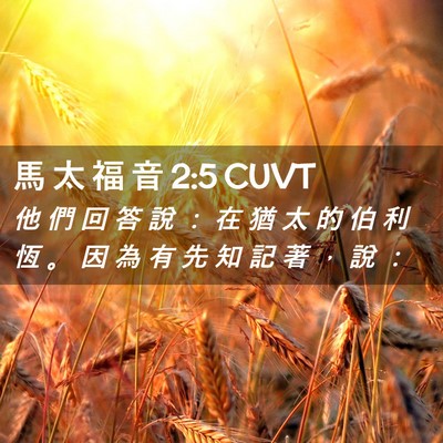 Picture 02 - 馬 太 福 音 2:5 CUVT - 他 們 回 答 說 ： 在 猶 太 的 伯 利 - Bible Verse Picture