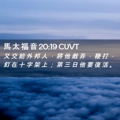 Picture 02 - 馬 太 福 音 20:19 CUVT - 又 交 給 外 邦 人 ， 將 他 戲 弄 ， - Bible Verse Picture