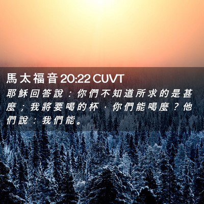 Picture 02 - 馬 太 福 音 20:22 CUVT - 耶 穌 回 答 說 ： 你 們 不 知 道 所 - Bible Verse Picture