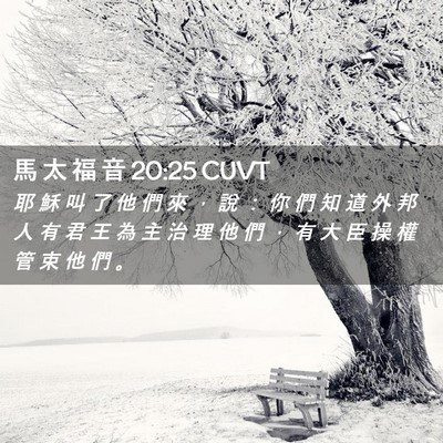 Picture 02 - 馬 太 福 音 20:25 CUVT - 耶 穌 叫 了 他 們 來 ， 說 ： 你 們 - Bible Verse Picture