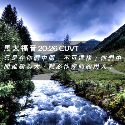 Picture 02 - 馬 太 福 音 20:26 CUVT - 只 是 在 你 們 中 間 ， 不 可 這 樣 - Bible Verse Picture