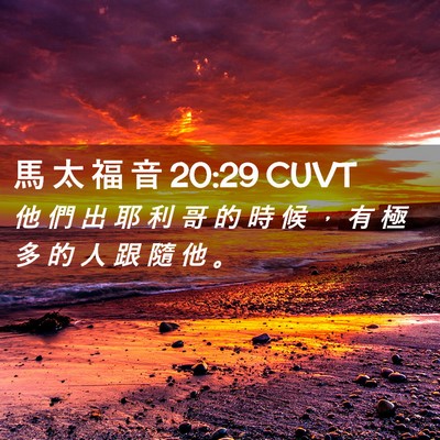 Picture 02 - 馬 太 福 音 20:29 CUVT - 他 們 出 耶 利 哥 的 時 候 ， 有 極 - Bible Verse Picture