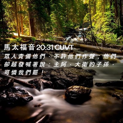 Picture 02 - 馬 太 福 音 20:31 CUVT - 眾 人 責 備 他 們 ， 不 許 他 們 作 - Bible Verse Picture