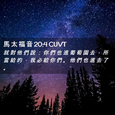 Picture 02 - 馬 太 福 音 20:4 CUVT - 就 對 他 們 說 ： 你 們 也 進 葡 萄 - Bible Verse Picture