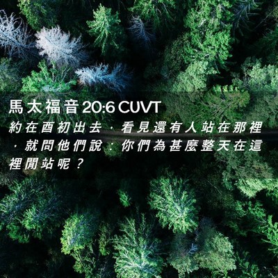 Picture 02 - 馬 太 福 音 20:6 CUVT - 約 在 酉 初 出 去 ， 看 見 還 有 人 - Bible Verse Picture