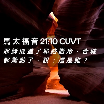 Picture 02 - 馬 太 福 音 21:10 CUVT - 耶 穌 既 進 了 耶 路 撒 冷 ， 合 城 - Bible Verse Picture