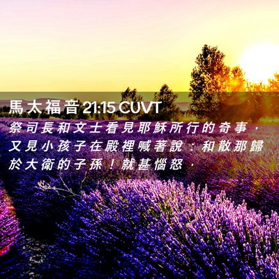 Picture 02 - 馬 太 福 音 21:15 CUVT - 祭 司 長 和 文 士 看 見 耶 穌 所 行 - Bible Verse Picture