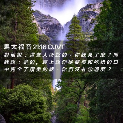 Picture 02 - 馬 太 福 音 21:16 CUVT - 對 他 說 ： 這 些 人 所 說 的 ， 你 - Bible Verse Picture
