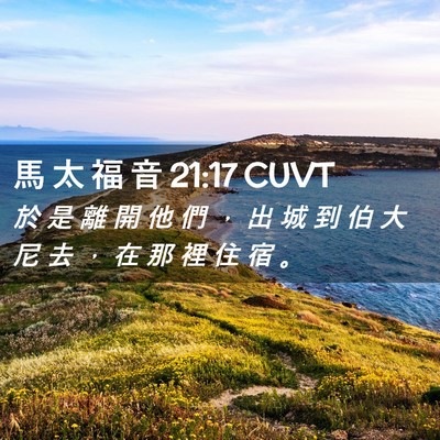 Picture 02 - 馬 太 福 音 21:17 CUVT - 於 是 離 開 他 們 ， 出 城 到 伯 大 - Bible Verse Picture