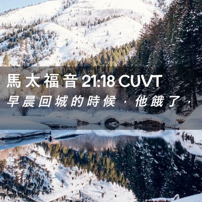 Picture 02 - 馬 太 福 音 21:18 CUVT - 早 晨 回 城 的 時 候 ， 他 餓 了 - Bible Verse Picture
