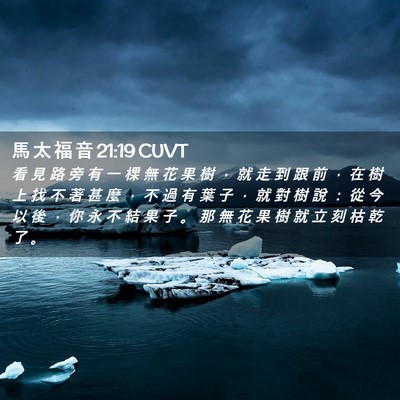 Picture 02 - 馬 太 福 音 21:19 CUVT - 看 見 路 旁 有 一 棵 無 花 果 樹 ， - Bible Verse Picture