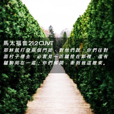 Picture 02 - 馬 太 福 音 21:2 CUVT - 耶 穌 就 打 發 兩 個 門 徒 ， 對 他 - Bible Verse Picture