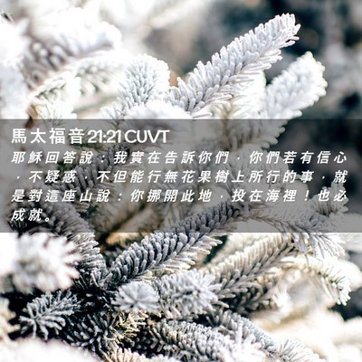 Picture 02 - 馬 太 福 音 21:21 CUVT - 耶 穌 回 答 說 ： 我 實 在 告 訴 你 - Bible Verse Picture
