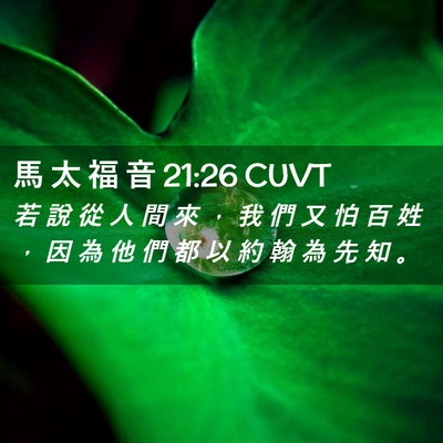 Picture 02 - 馬 太 福 音 21:26 CUVT - 若 說 從 人 間 來 ， 我 們 又 怕 百 - Bible Verse Picture