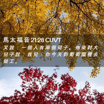 Picture 02 - 馬 太 福 音 21:28 CUVT - 又 說 ： 一 個 人 有 兩 個 兒 子 。 - Bible Verse Picture