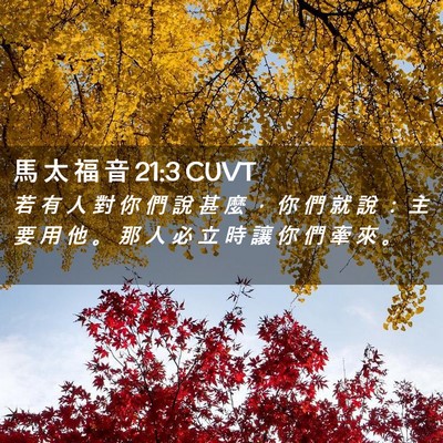 Picture 02 - 馬 太 福 音 21:3 CUVT - 若 有 人 對 你 們 說 甚 麼 ， 你 們 - Bible Verse Picture