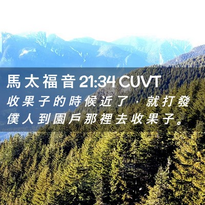 Picture 02 - 馬 太 福 音 21:34 CUVT - 收 果 子 的 時 候 近 了 ， 就 打 發 - Bible Verse Picture