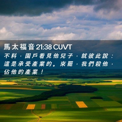 Picture 02 - 馬 太 福 音 21:38 CUVT - 不 料 ， 園 戶 看 見 他 兒 子 ， 就 - Bible Verse Picture