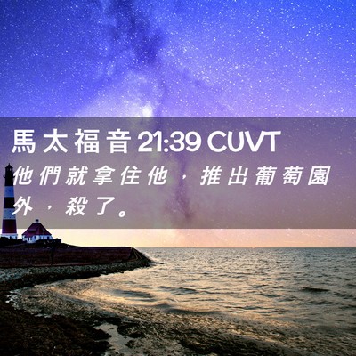 Picture 02 - 馬 太 福 音 21:39 CUVT - 他 們 就 拿 住 他 ， 推 出 葡 萄 園 - Bible Verse Picture